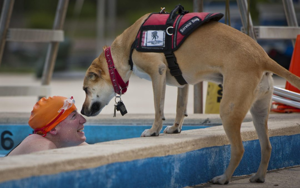 Therapy Dogs Help Wounded Warriors